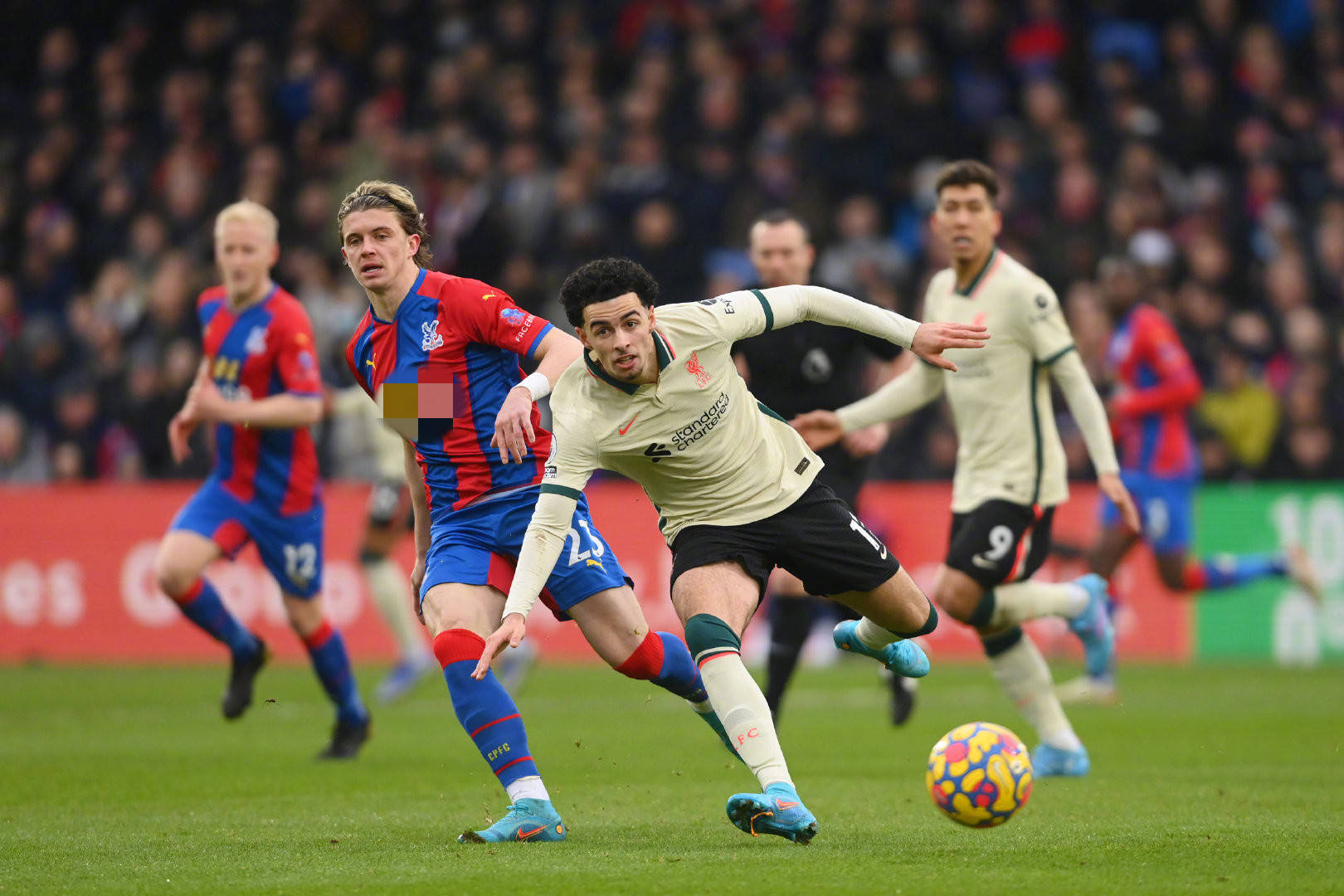 强劲的选手 强劲的选手